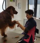 Trimsalon Irene behandeling