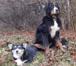 joop-en-pam-na-wandeling